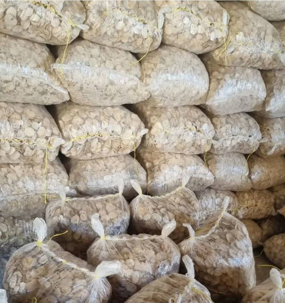 ثوم عجم مجفف