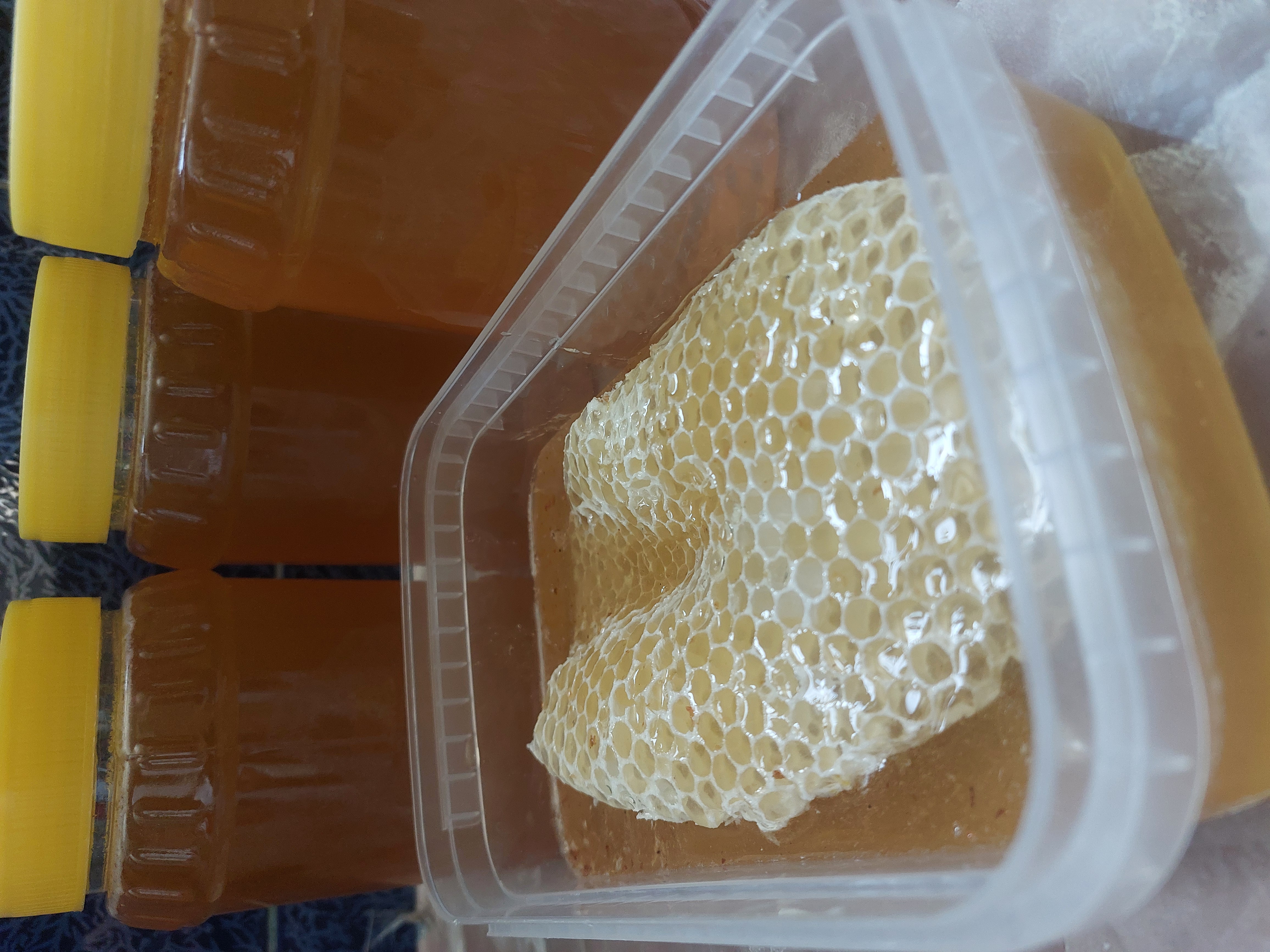 Spring honey with honeycomb