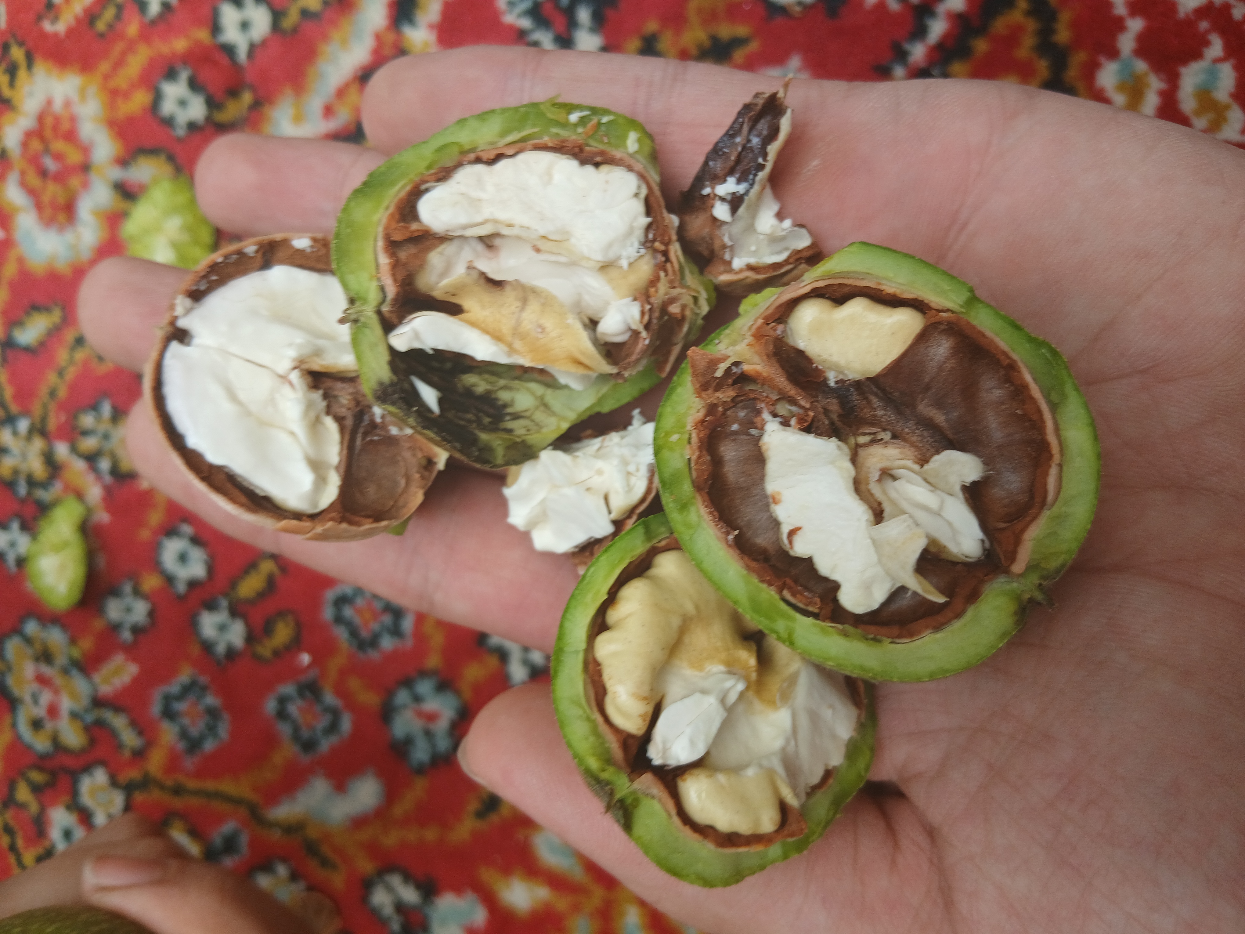 صورة المنتج 5