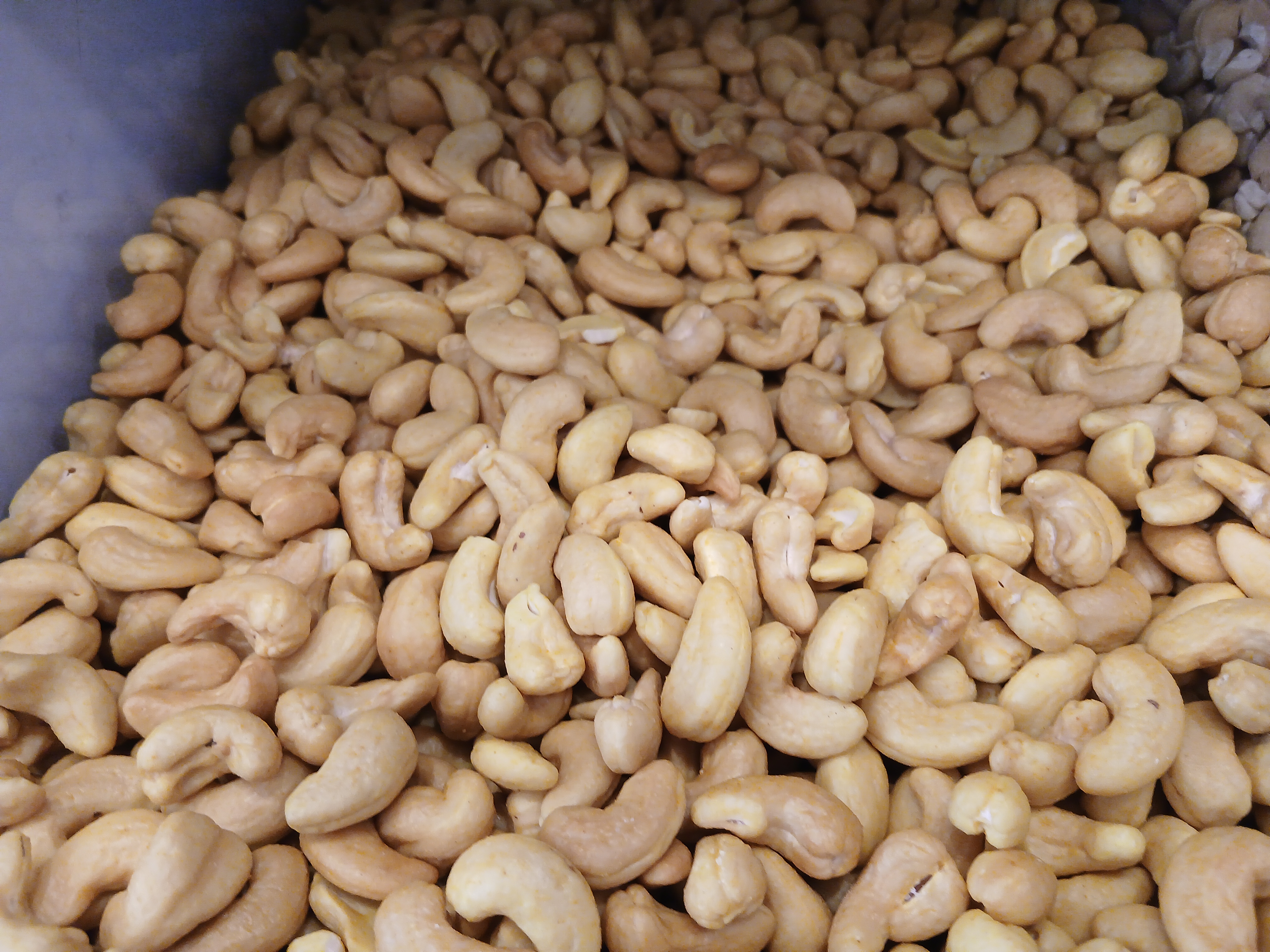Premium Fresh Cashews