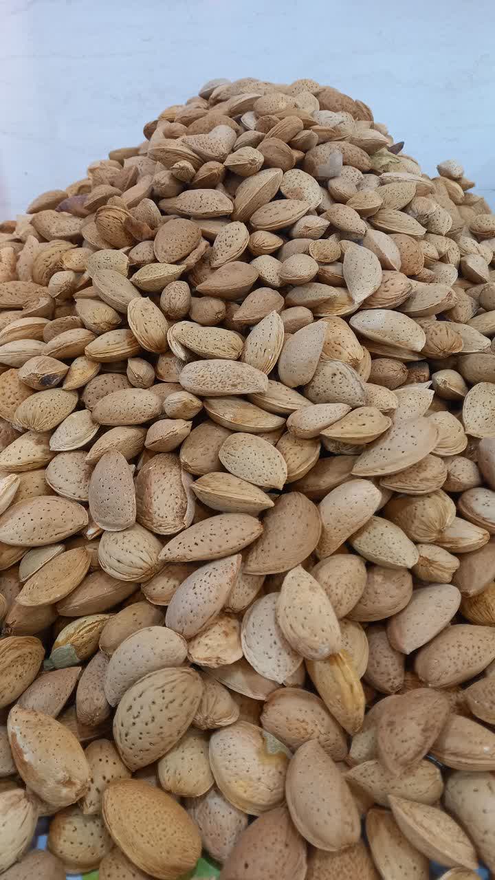 Premium rocky almond, this year's harvest
