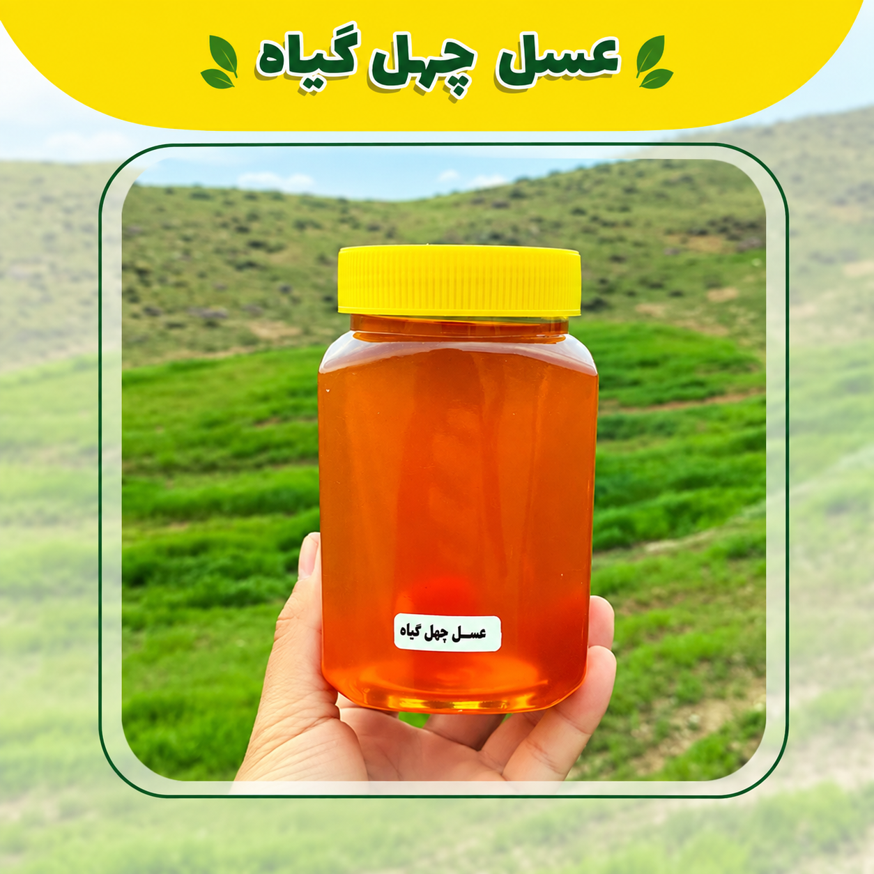 Polyfloral Honey