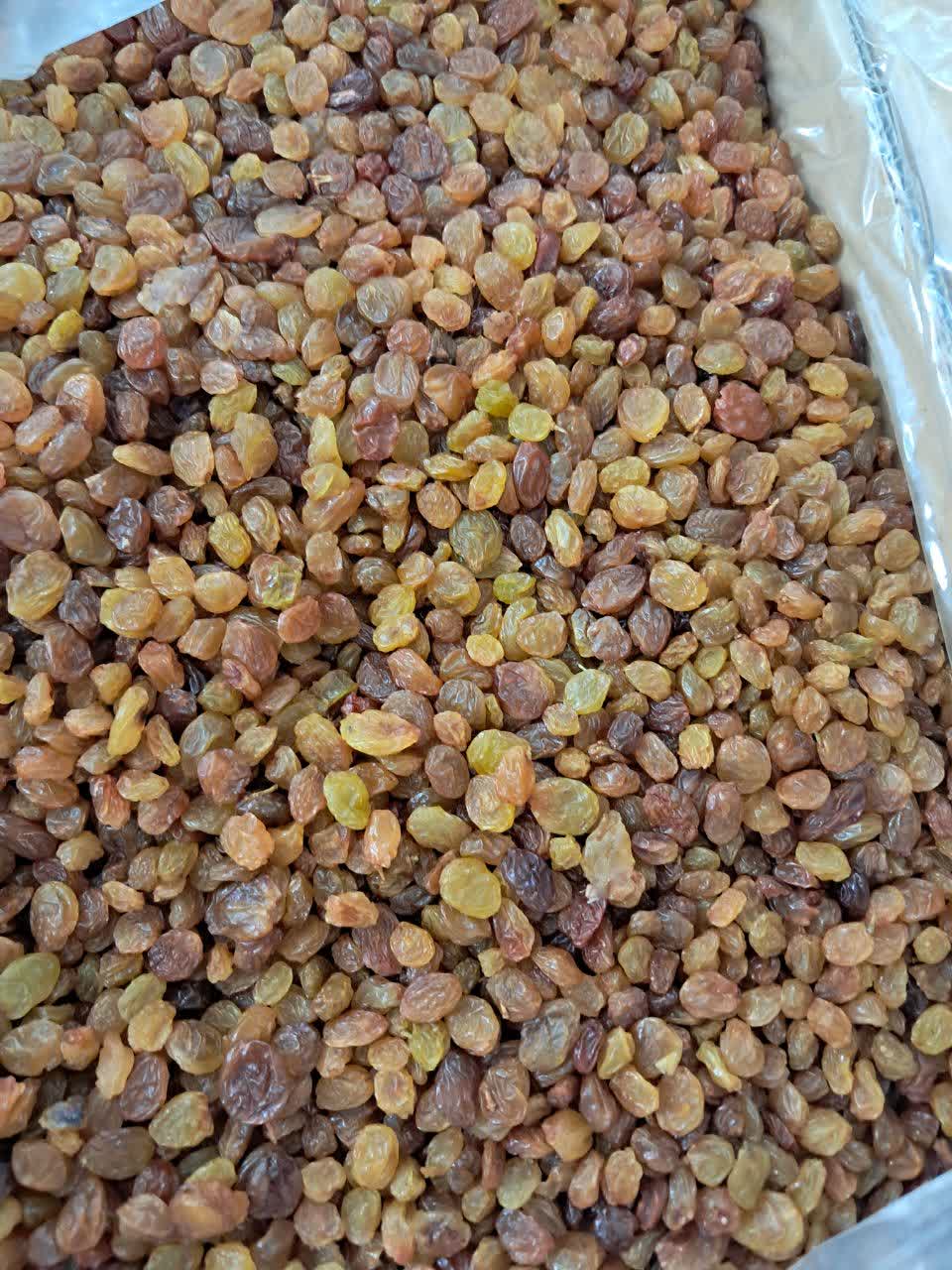 Golden Seedless Raisins