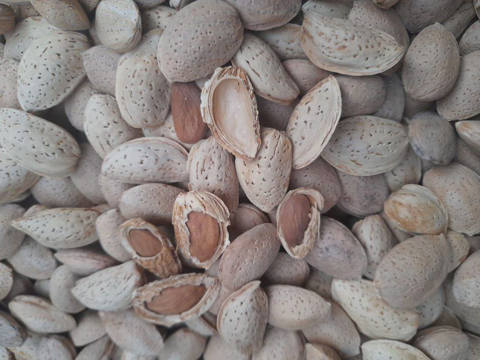 صورة المنتج 2