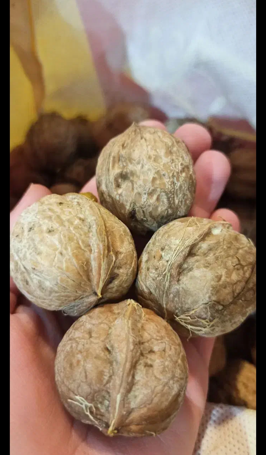 مغز جوز عضوي درجة أولى مصنف