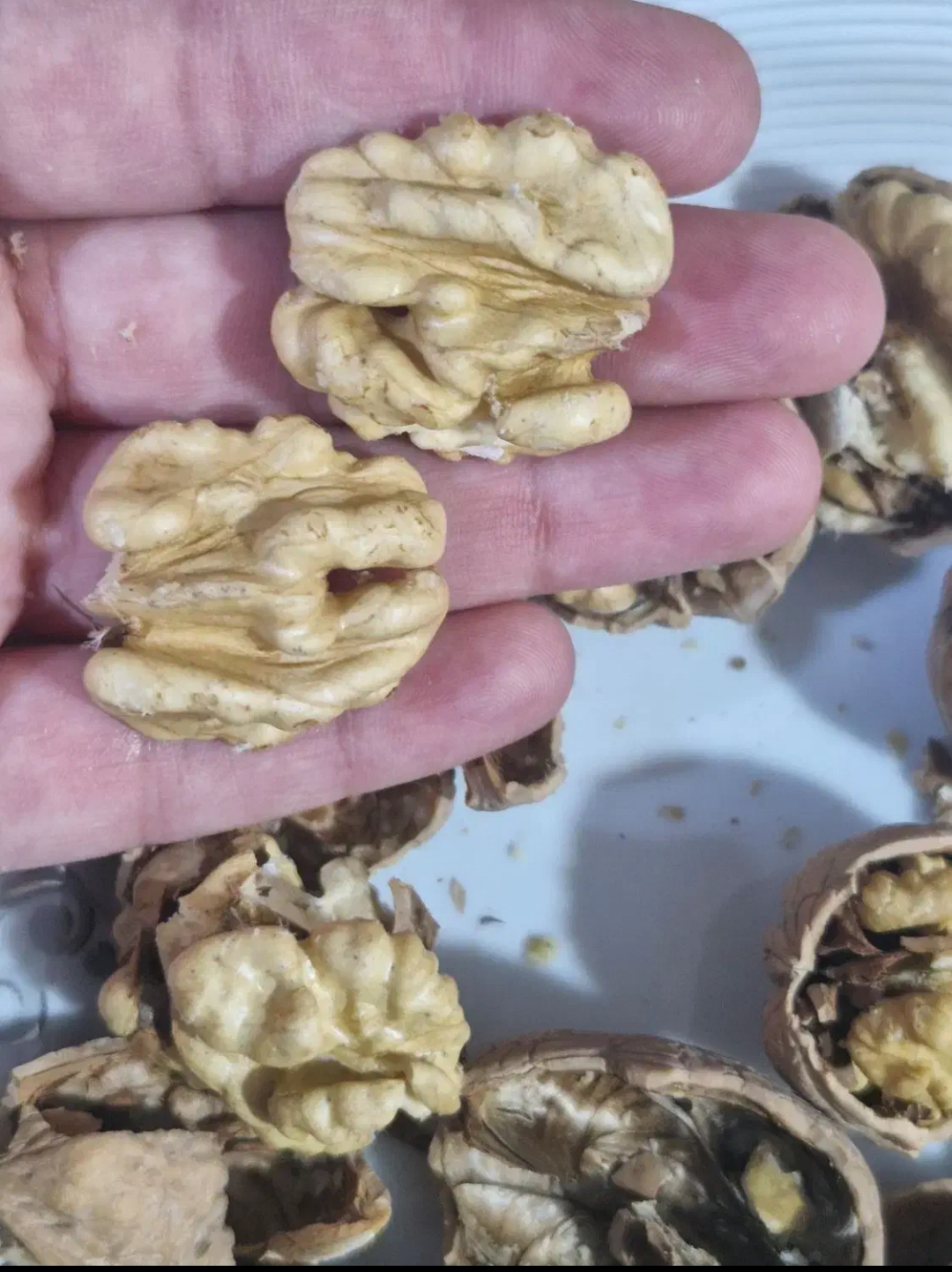 صورة المنتج 2