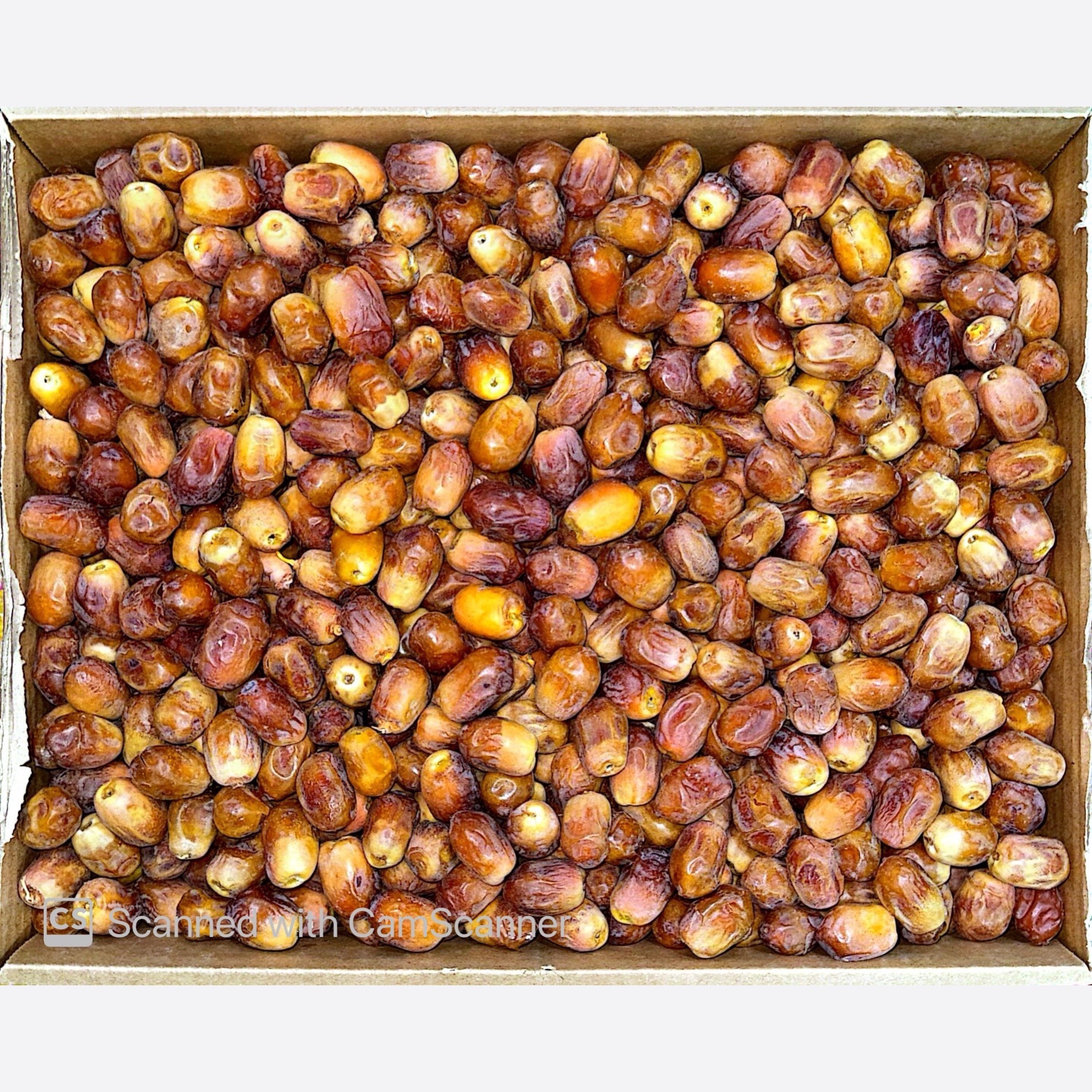صورة المنتج 2