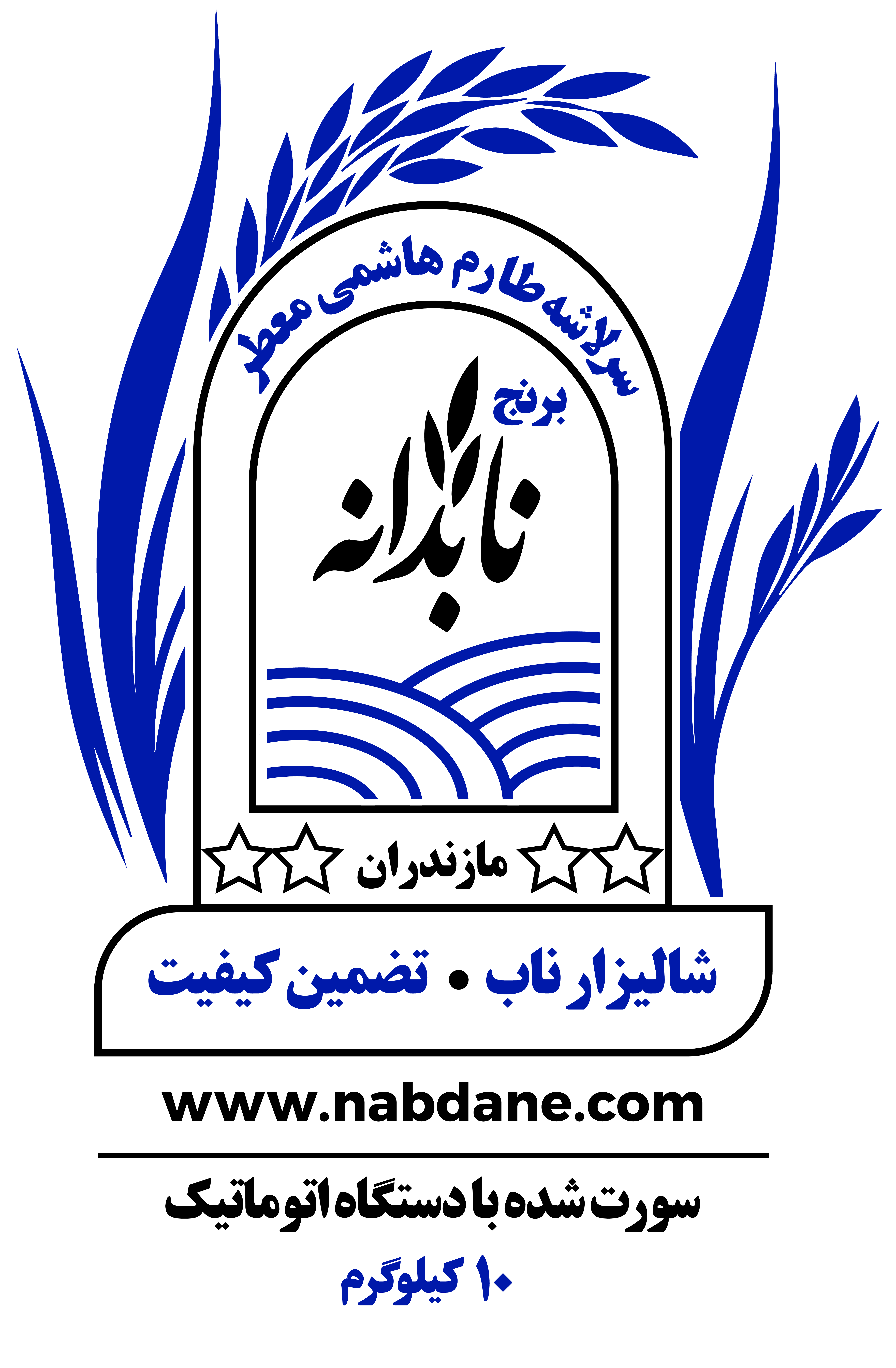 سرلاشه طارم هاشمي معطر 10 كيلوغرامي - أرز ممتاز للتصدير