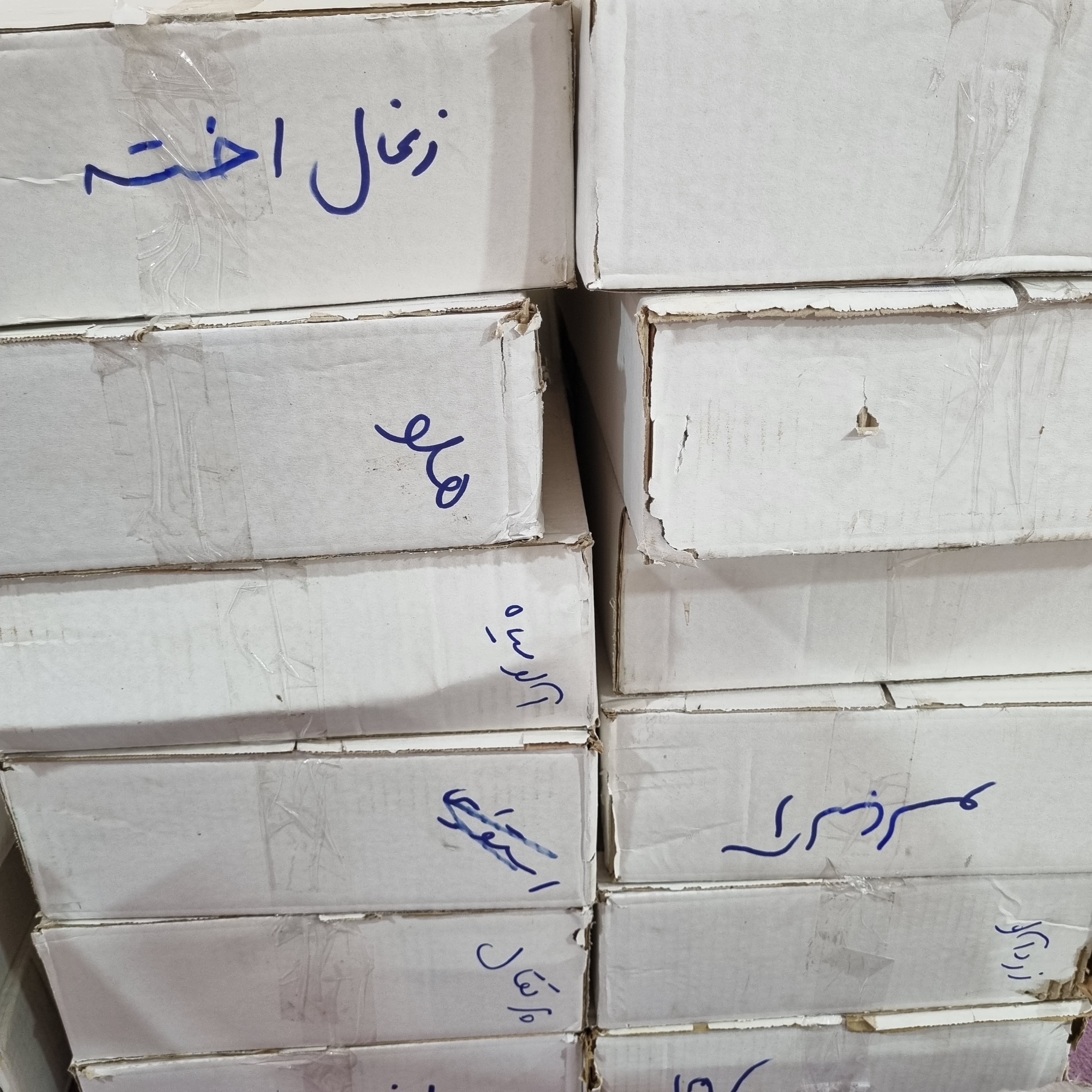 لواشک میوه ای کارتنی عمده با طعم زرشک