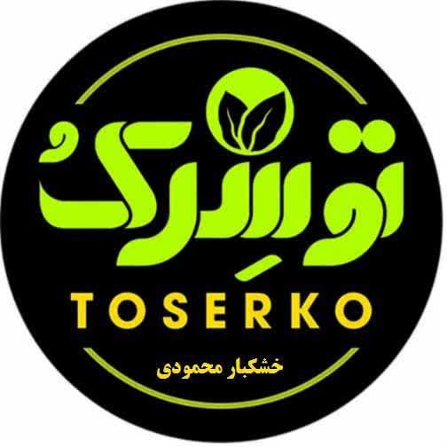حمید محمودی دارنی
