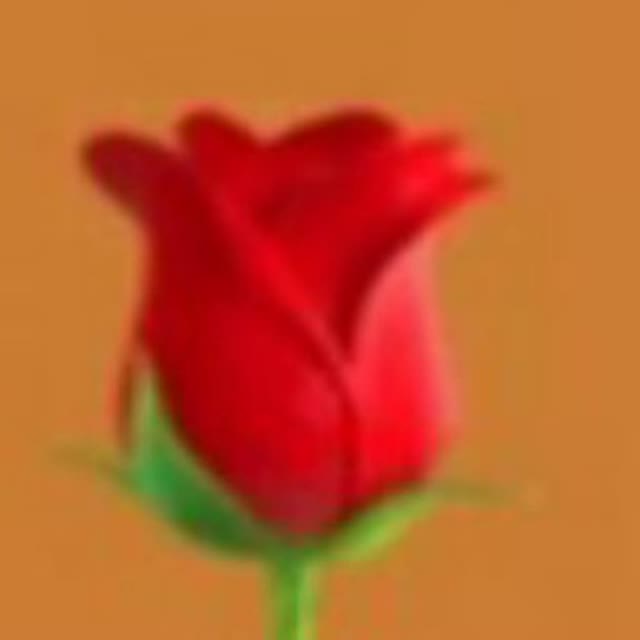 TEDI_butiquee